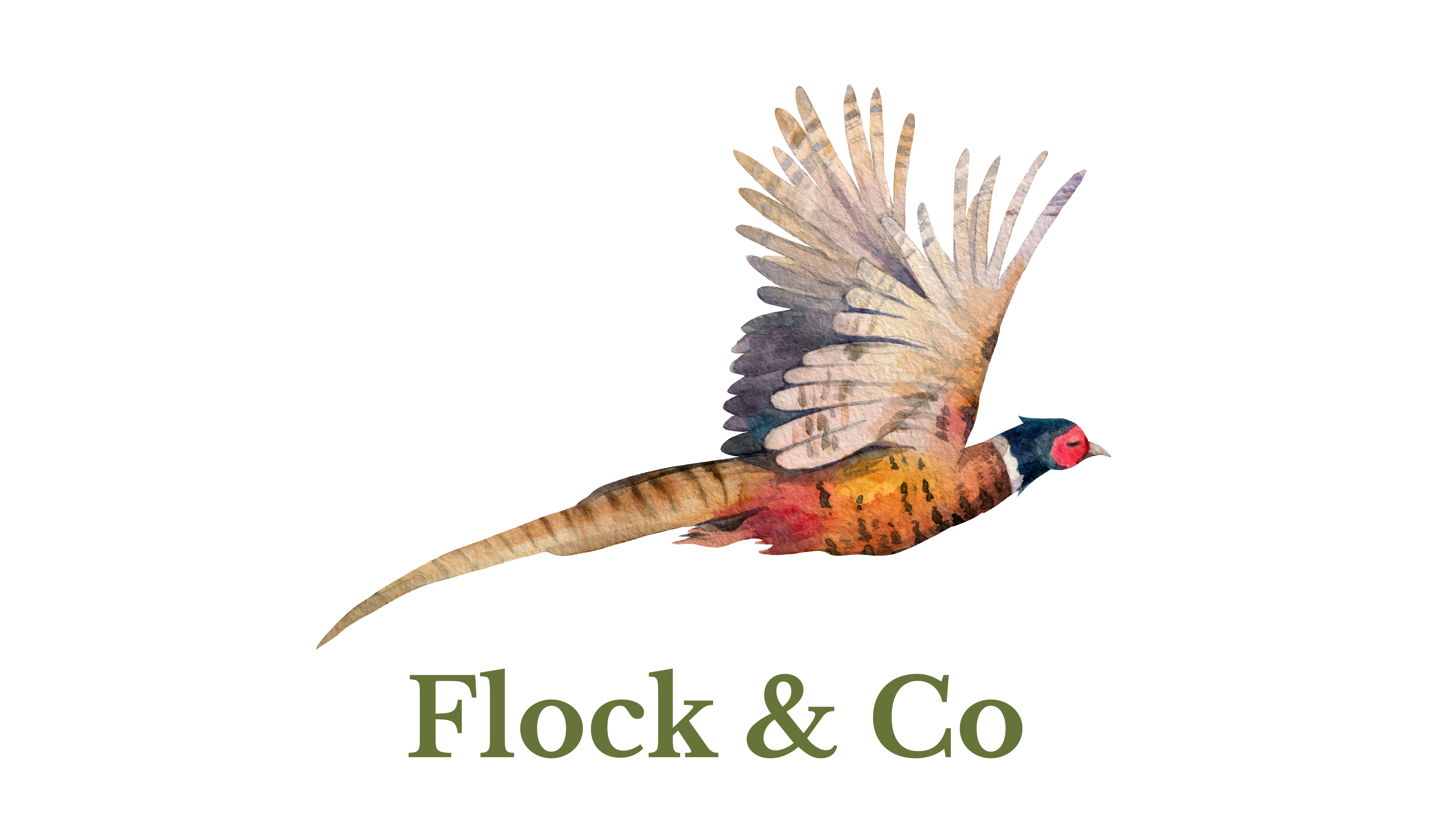 Flock & Co